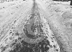 Road and trodden path in the snow