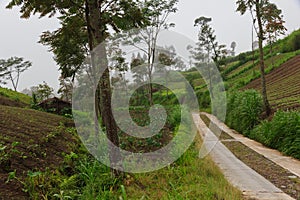 Road in the tropical mountains. Track in the mountain fog and clouds