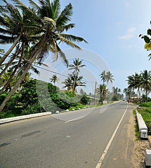 Road in the tropics