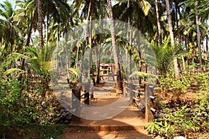 Road in the tropics. India. Goa