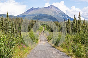 Road in tundra
