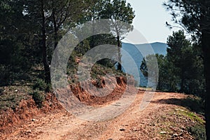 Road with turn in forest with view to the mountains of Catalunia photo