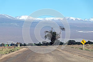 Road turn with yellow road sign in the Atacama desert, Chile