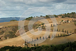 Road in Tuscany