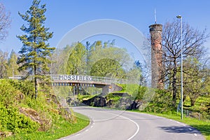 Road under a bridge with lush green foliage on the trees a sunny spring day