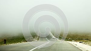 Road under the mist