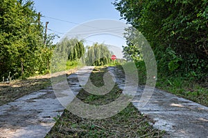 The road up leading to an intersection where there is a STOP sign. On the sides are trees, grass