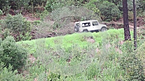 Road uphill on which the all-terrain jeep are slowly moving surrounded by forest