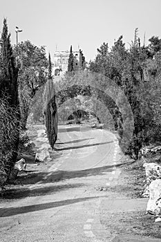 Road in the Valley of the Cross