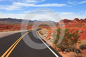 Road through the Valley of Fire