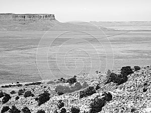 Road through the Vermillion Cliffs Landscape black and white