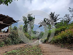 road viem in the countryside