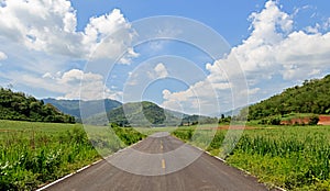 Road View to Mountains in Sunshine Day