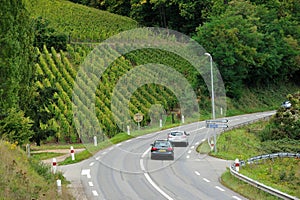 Road and vineyards at Kaysersberg, France