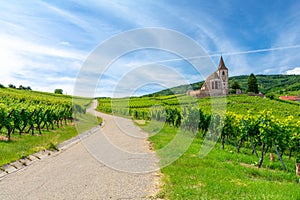Road between vineyards and old church in Hunawihr village in Alsace, France