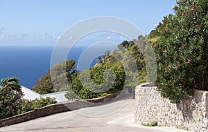 The Road vista Saba Dutch Antilles Netherlands