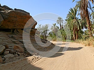 The road between Wadi Halfa and Khartoum.