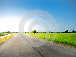 Road way on green meadow In the blue sky