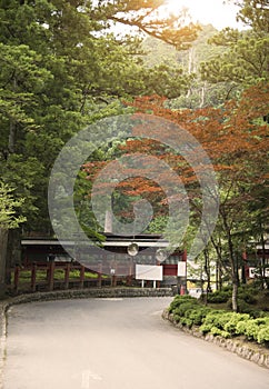 Road way and maple tree at rinnoji temple, Nikko, Japan.