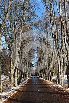 Road, way, winter,