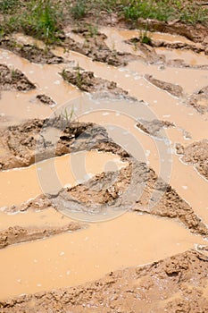 Road wet muddy of countryside