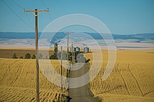 Road, wheat fields, Washington State