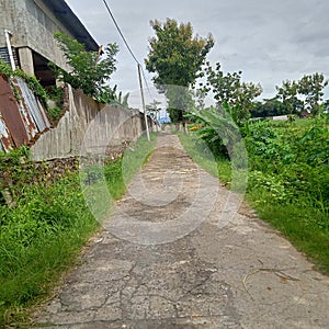 This is the road where people return to their respective homes