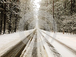 Road through white Winter Forest