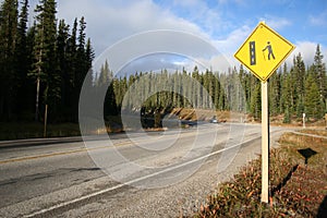 Road in wilderness area