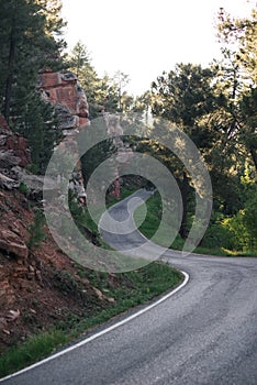 Road with winding curves among forest