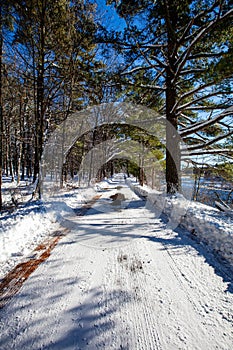 Road winding through the trees in Council Grounds State Park, Merrill, Wisconsin after a snow storm