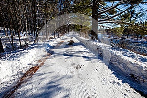 Road winding through the trees in Council Grounds State Park, Merrill, Wisconsin after a snow storm