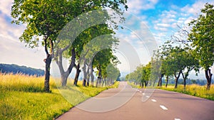 Road winds through the lush green countryside