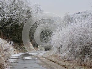 Road in winter