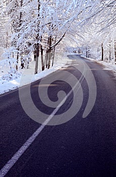 Road in winter