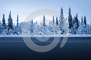 Road in winter forest