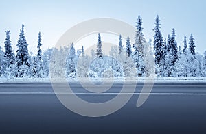 Road in winter forest