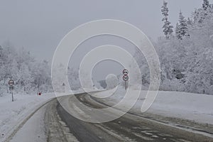 Road in the winter forest on North in Russia