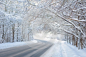 Road in winter forest. Scenic view of tunnel with snowy trees. Turn of road in woods after snowfall