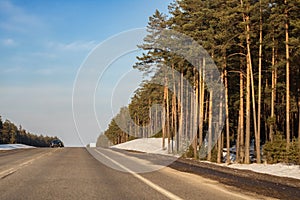 Road and winter forest with yellow trees and cars