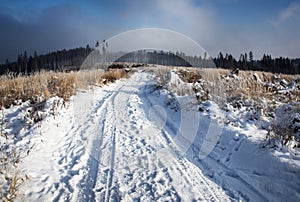 Road through winter landscape