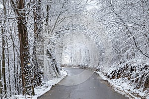 A road through a winter landscape with snow-covered trees