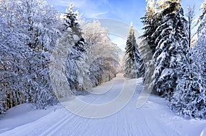 Road in the winter mountains. Kremnica Mountains, Slovakia.