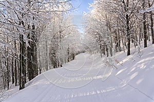 Road in the winter mountains. Kremnica Mountains, Slovakia.