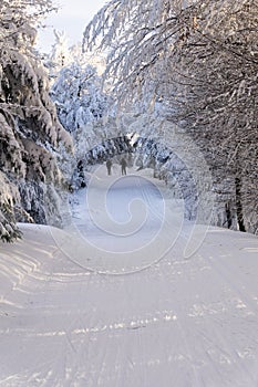 Road in the winter mountains. Kremnica Mountains, Slovakia.