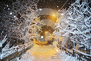 Road in winter night with yellow light. it`s snowing