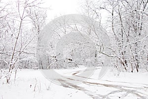 Road in a winter snowy forest in January in Ukraine