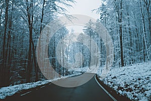 Road through wintry forest