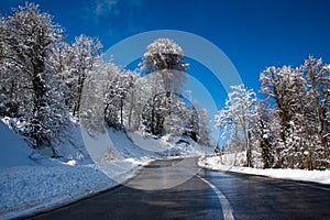 Road through wintry landscape