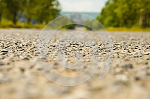 Road in the woods, asphalt horizontal